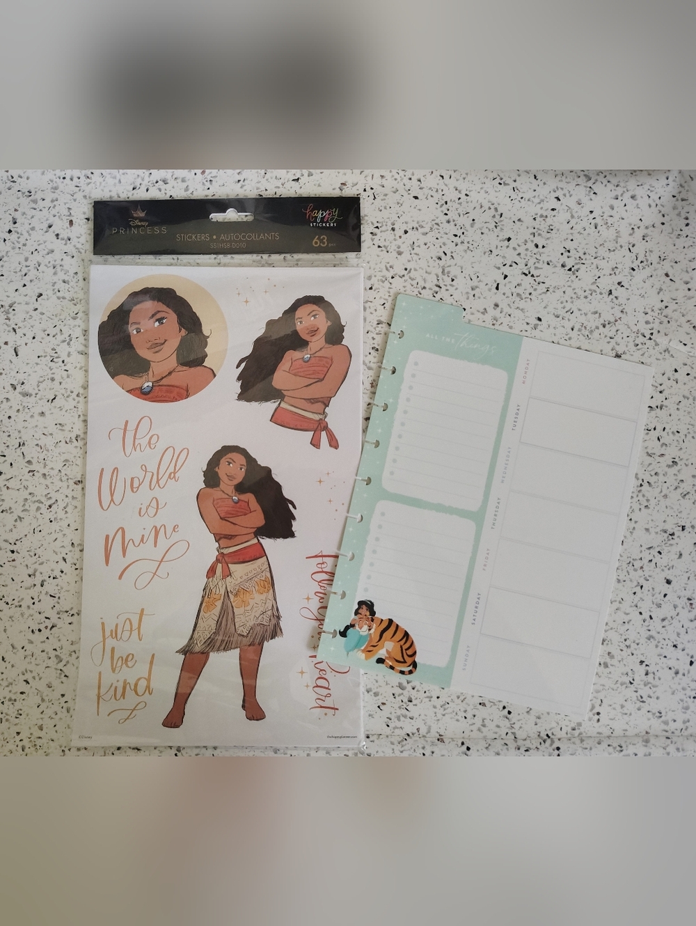 Happy Planner x Disney Princess Stickers & Dry Erase Board Planner Set 2pcs